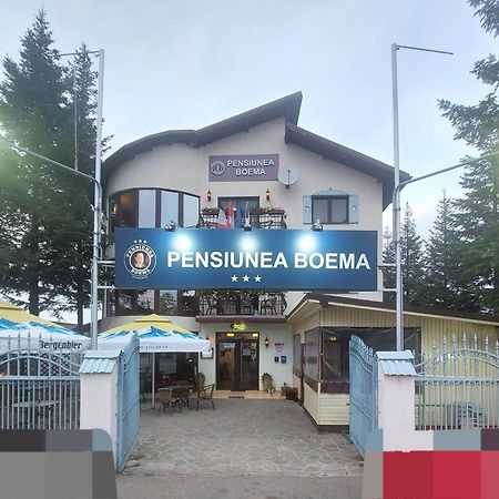 Pensiunea Boema 普洛耶什蒂 外观 照片